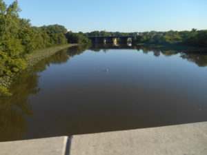photo of a calm river, trees, and a bridge